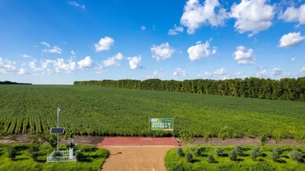【河南日报农村版报道】注册即送28元体验金如何用14年把一颗小豆芽种成民生大事业