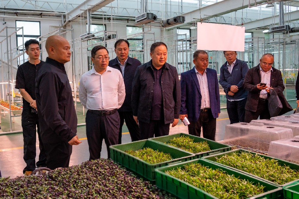 国家大豆产业专家团赴注册即送28元体验金集团考察调研，共同探讨大豆产业链发展