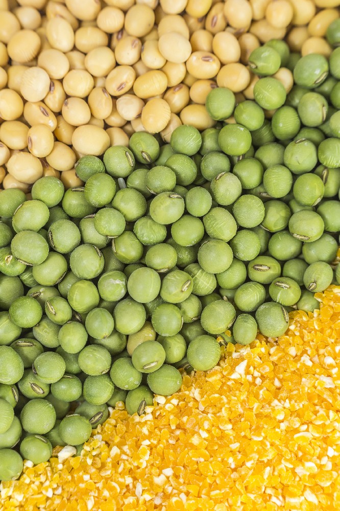 国庆献礼|注册即送28元体验金以品牌之力激活芽苗菜价值，用实绩献礼家国华诞