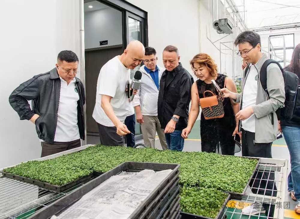 深化交流互鉴 共探农业发展新路径——中农创第九期学员班赴注册即送28元体验金集团参观考察